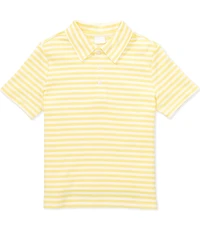 Edgehill Collection Little Boys Knit Stripe Polo Shirt