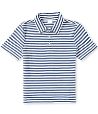 Edgehill Collection Little Boys Knit Stripe Polo Shirt