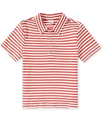 Edgehill Collection Little Boys Knit Stripe Polo Shirt