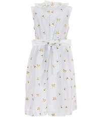 Edgehill Collection Little Girls Sleeveless Ruffle Collar Embroidered Floral Dress