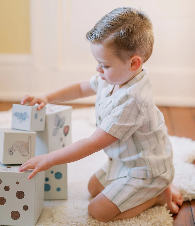 Edgehill Collection x Kristin Ellen Hockman Little Boys Oskar Camp Collar Stripe Short Sleeve Woven Top & Shorts Set