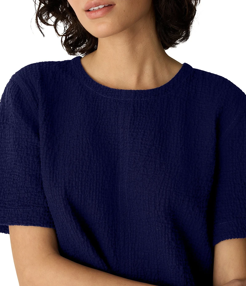 Eileen Fisher Crinkle Double Weave Round Neck Short Sleeve Top