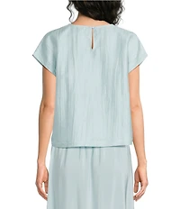 Eileen Fisher Crinkle Weave Round Neck Short Sleeve Top