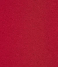 Eileen Fisher Plus Sheer Cotton Blend Knit Round Neck Long Sleeve Tee