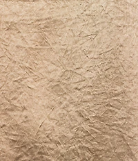 Eileen Fisher Textured Satin Ballet Neck Sleeveless Short Shell Tank