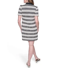 Eliza J Collared Short Sleeve Crochet Mini Dress