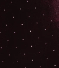 Eliza J Cowl Neck Velvet Embellished Gown