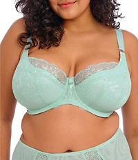 Elomi Brianna Padded Half Cup Scallop Lace Overlay Push-Up Bra