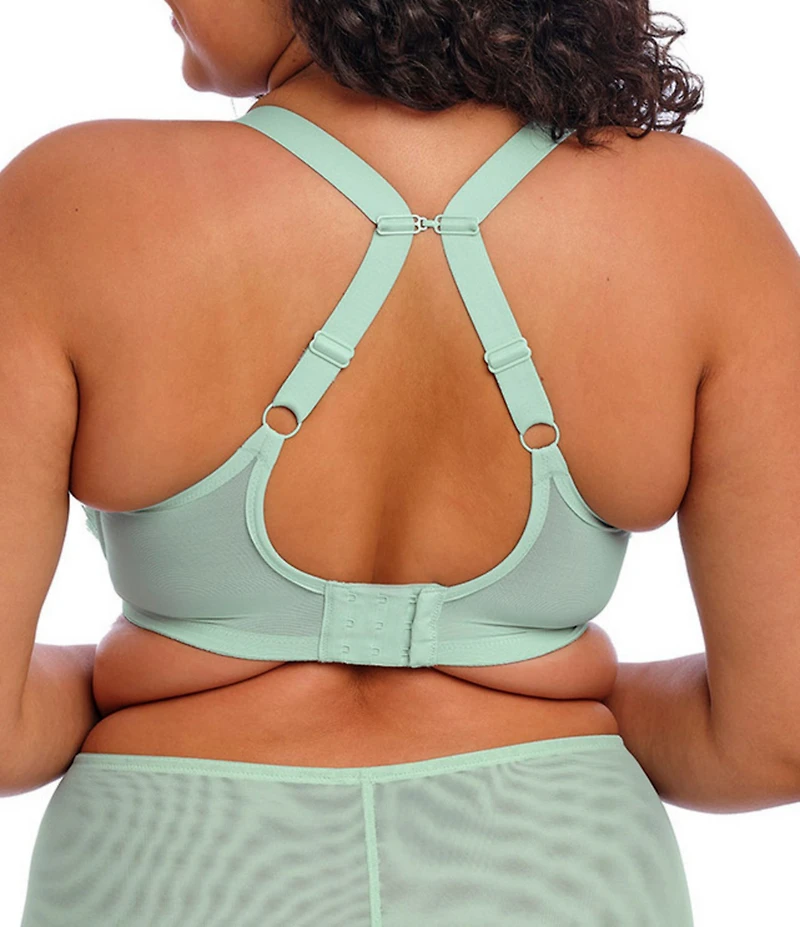 Elomi Brianna Padded Half Cup Scallop Lace Overlay Push-Up Bra