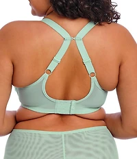 Elomi Brianna Padded Half Cup Scallop Lace Overlay Push-Up Bra