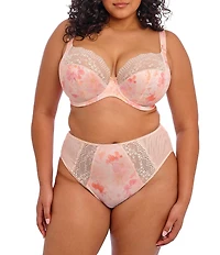 Elomi Lucie High Leg Brief