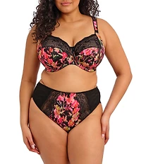 Elomi Morgan High Leg Brief