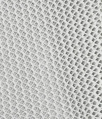 Emory Park Crochet One Shoulder Fringe Hem Poncho