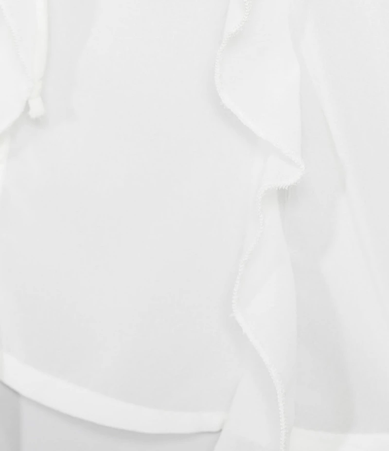 Emory Park Sheer Cascade Ruffle V-Neck Long Sleeve Blouse