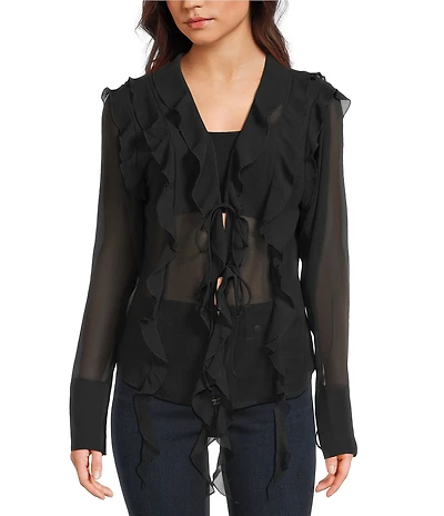 Emory Park Sheer Cascade Ruffle V-Neck Long Sleeve Blouse