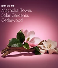 Estee Lauder Beautiful Magnolia Fleur Eau de Parfum Travel Spray