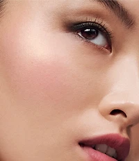 Estee Lauder The Sculpting Blush Powder