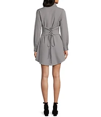 Evolutionary Pinstripe Long Sleeve Button Front Shirt Dress