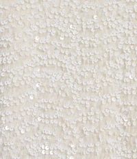 Evolutionary Sequin Velvet Bow Front Long Sleeve Coordinating Top