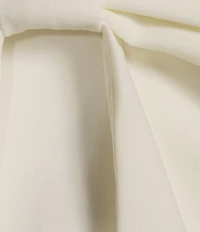 Evolutionary Strapless Bow Top