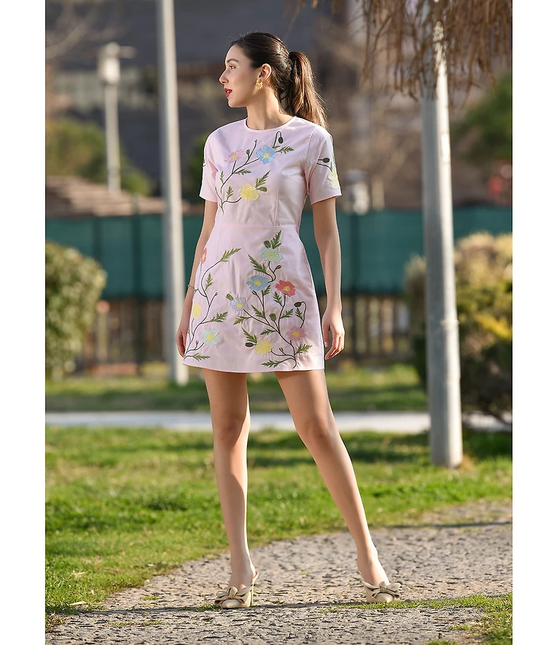 Fanm Mon Joe Floral Embroidered Crew Neck Short Sleeve Mini Dress