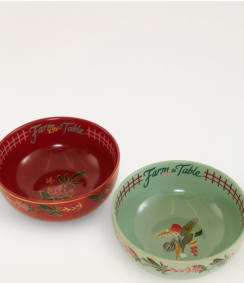 Farm Rio Painted Farm Bowls, Set of 2