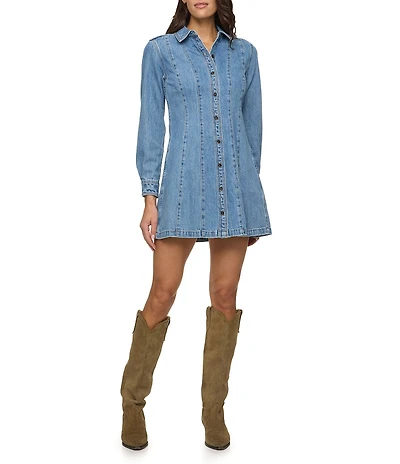 Flag and Anthem Bloomfield Seamed Denim Mini Dress