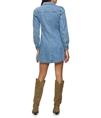 Flag and Anthem Bloomfield Seamed Denim Mini Dress