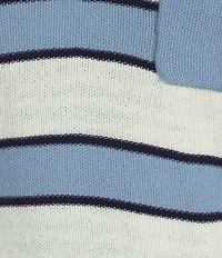 Flag and Anthem Maben Short Sleeve V-Neck Striple Polo Sweater