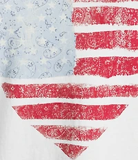 Flag and Anthem Short Sleeve Flag Raglan Tee
