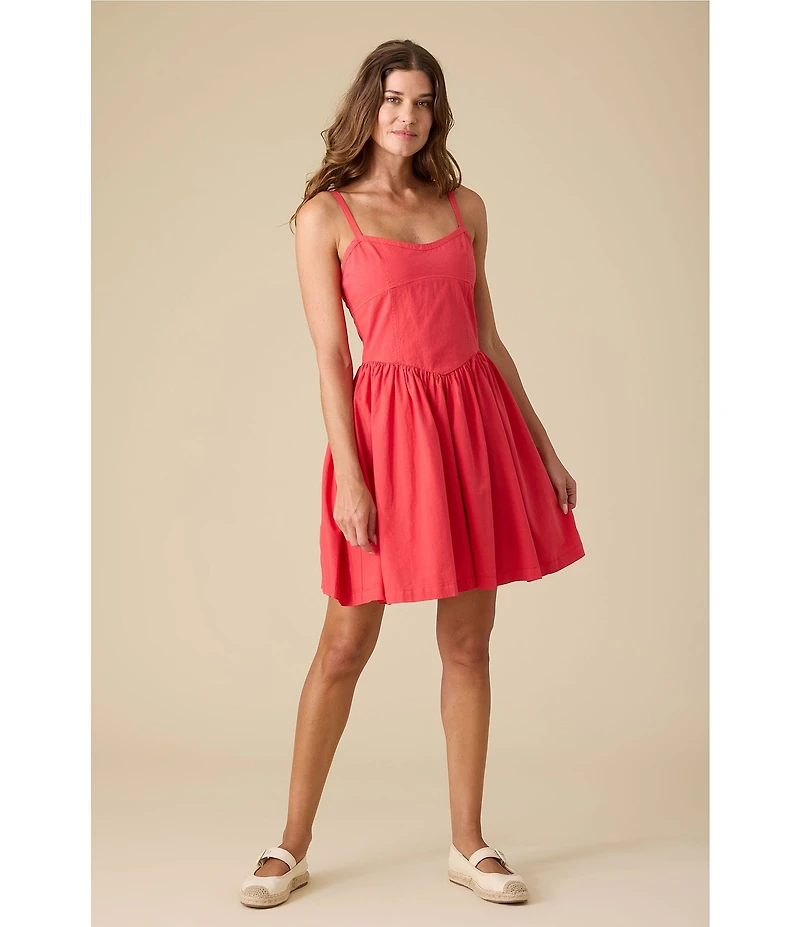 Flag and Anthem Sleeveless Florence Mini Dress