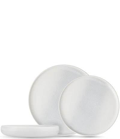 Fortessa Iceland Collection 12-Piece Dinnerware Set