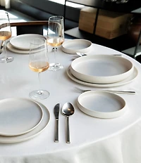Fortessa Iceland Collection 12-Piece Dinnerware Set