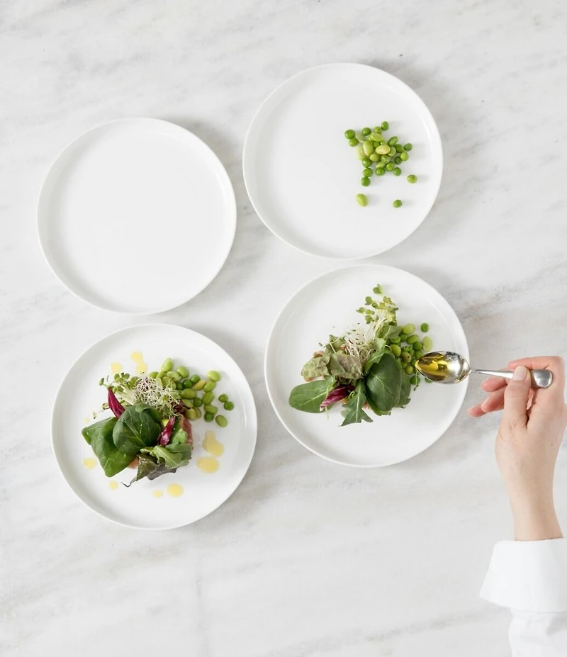 Fortessa Modern Coupe 16-Piece Dinnerware Set