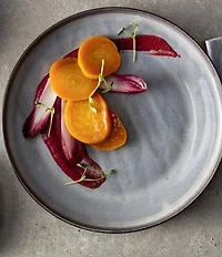 Fortessa Northern Lights Borealis Silt 16-Piece Dinnerware Set