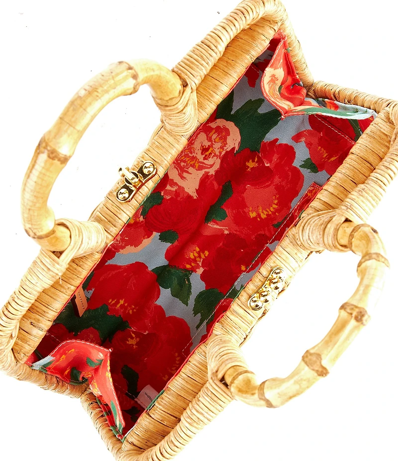 FRANCES VALENTINE Buzzy Basket Wicker Frame Bag