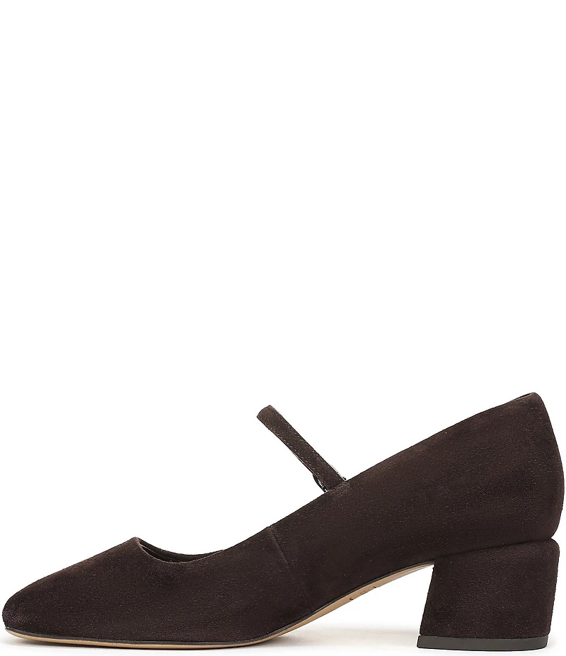 Franco Sarto Davi Suede Block Heel Mary Jane Pumps