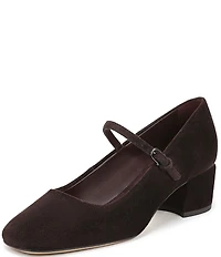 Franco Sarto Davi Suede Block Heel Mary Jane Pumps