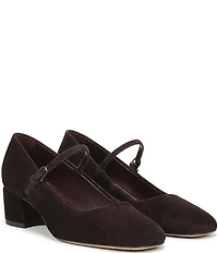 Franco Sarto Davi Suede Block Heel Mary Jane Pumps