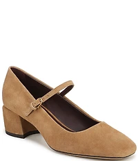 Franco Sarto Davi Suede Block Heel Mary Jane Pumps