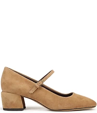Franco Sarto Davi Suede Block Heel Mary Jane Pumps