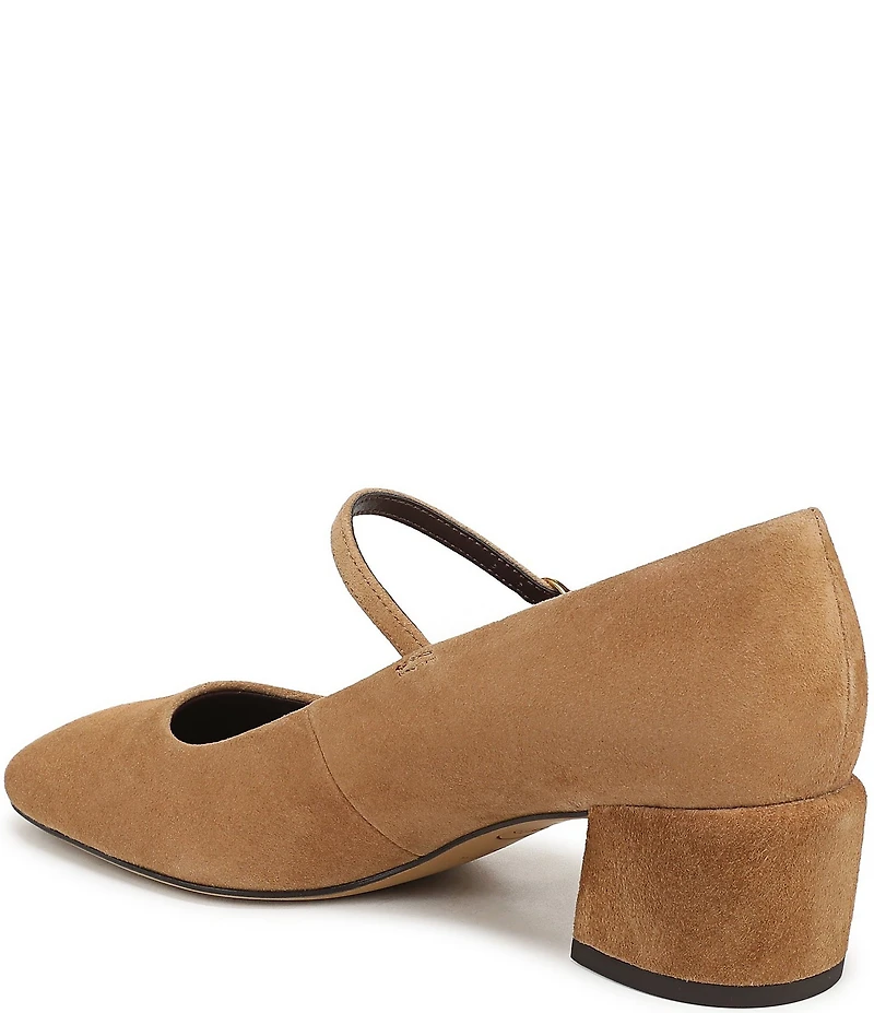 Franco Sarto Davi Suede Block Heel Mary Jane Pumps