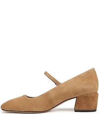 Franco Sarto Davi Suede Block Heel Mary Jane Pumps