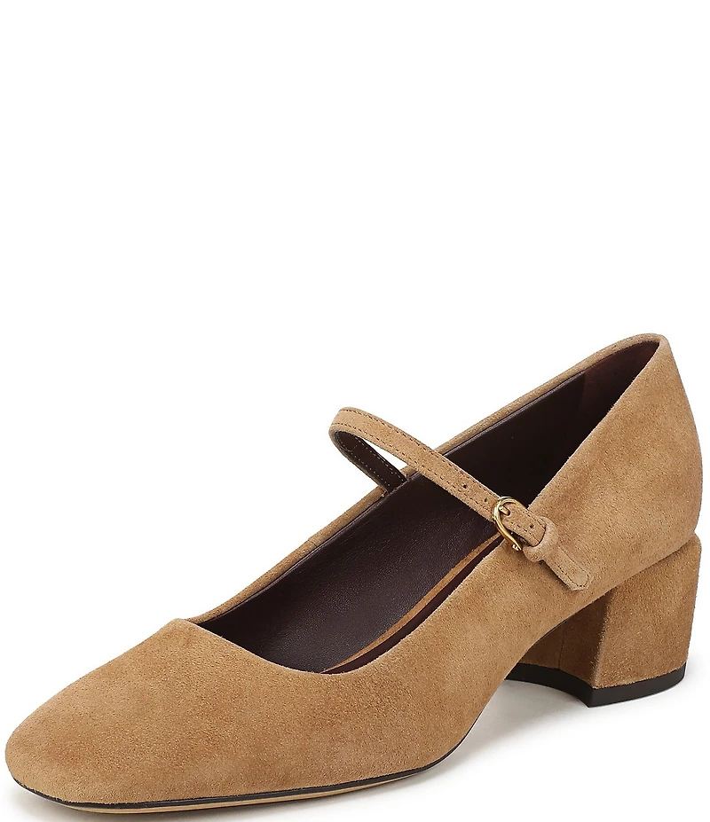 Franco Sarto Davi Suede Block Heel Mary Jane Pumps