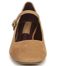 Franco Sarto Davi Suede Block Heel Mary Jane Pumps