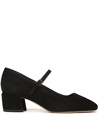 Franco Sarto Davi Suede Block Heel Mary Jane Pumps