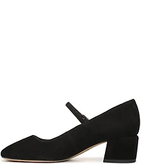 Franco Sarto Davi Suede Block Heel Mary Jane Pumps