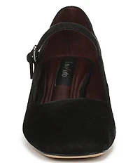 Franco Sarto Davi Suede Block Heel Mary Jane Pumps