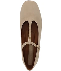 Franco Sarto Marylee Suede T-Strap Flats