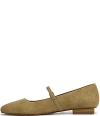 Franco Sarto Tinsley Suede Mary Jane Flats